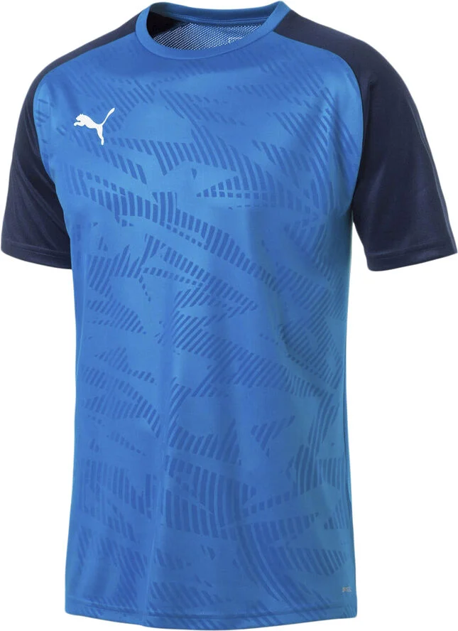 Puma Cup Training T-shirt Blå
