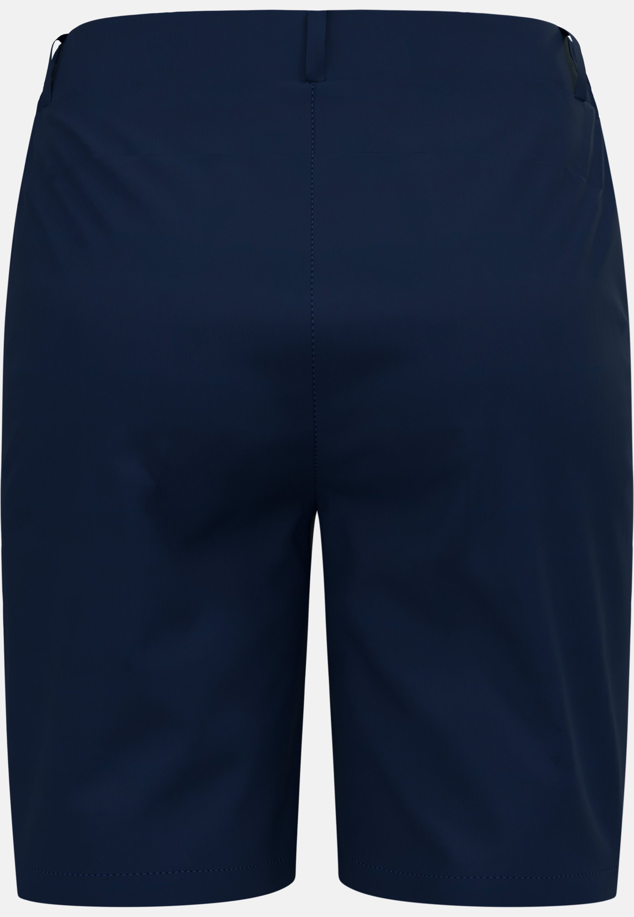 Ascent Light Wandershorts in medieval blue