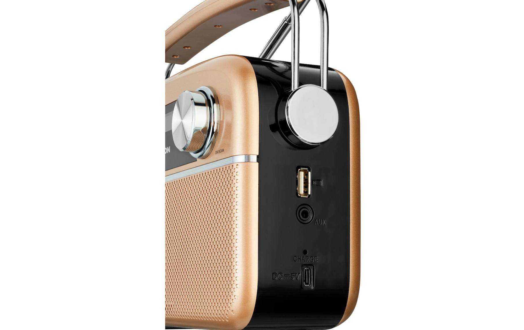 DAB+ Radio LIFE E66809 BronzeRetro-Radio mit Bluetooth und Solarpanel