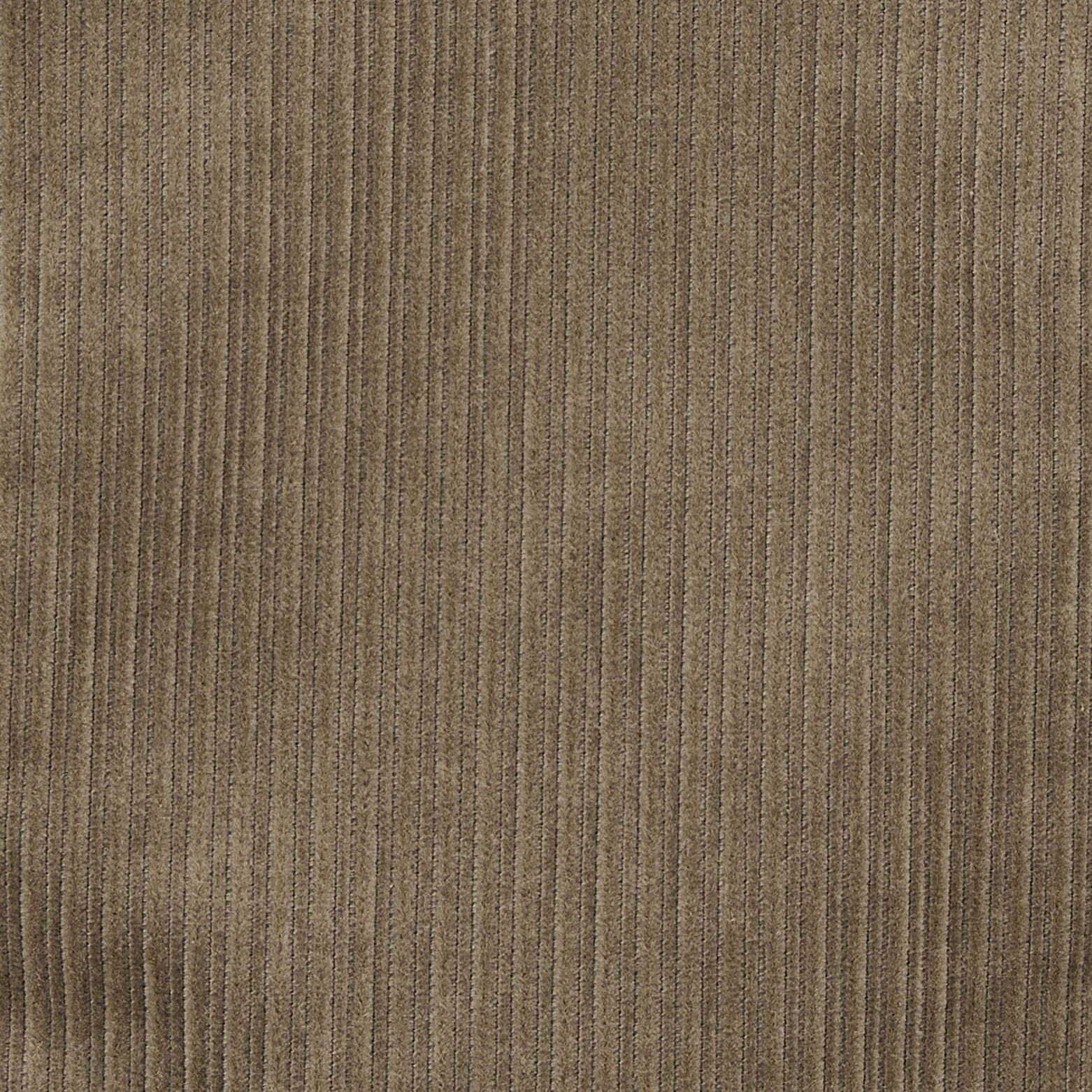 Blouson velours col chemise Beige