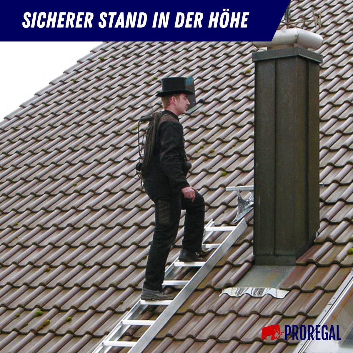 PROREGAL dakladder, roodbruin, 10 sporten