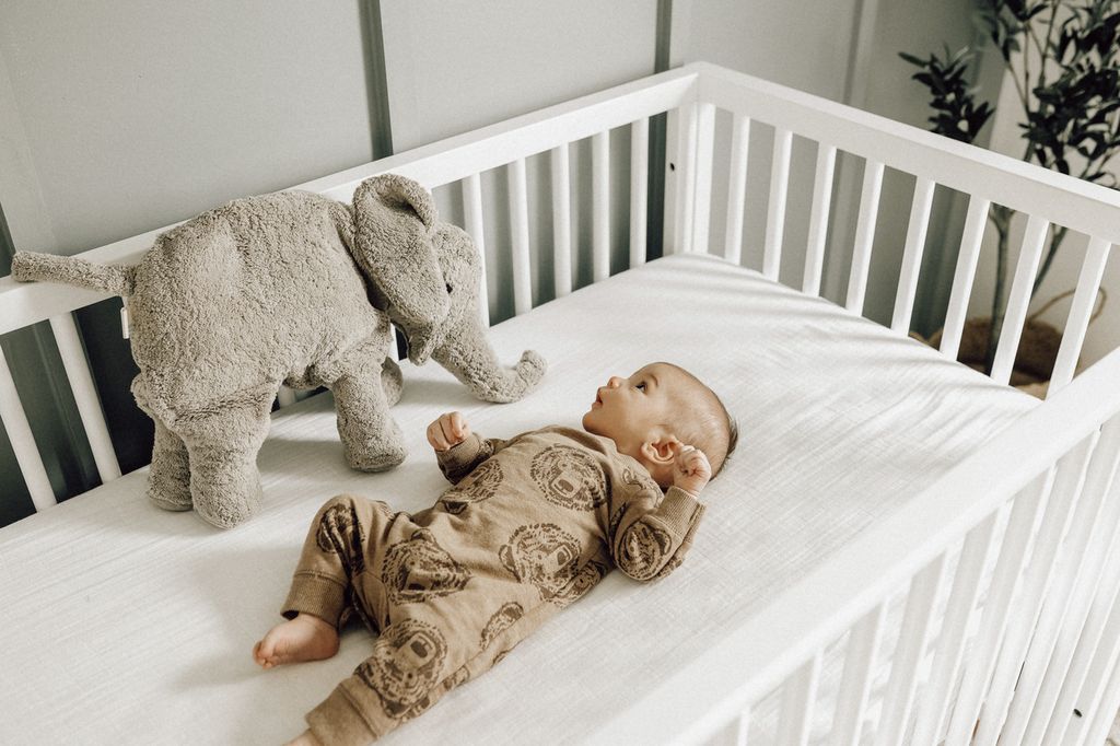 Senger Kuscheltier Elefant