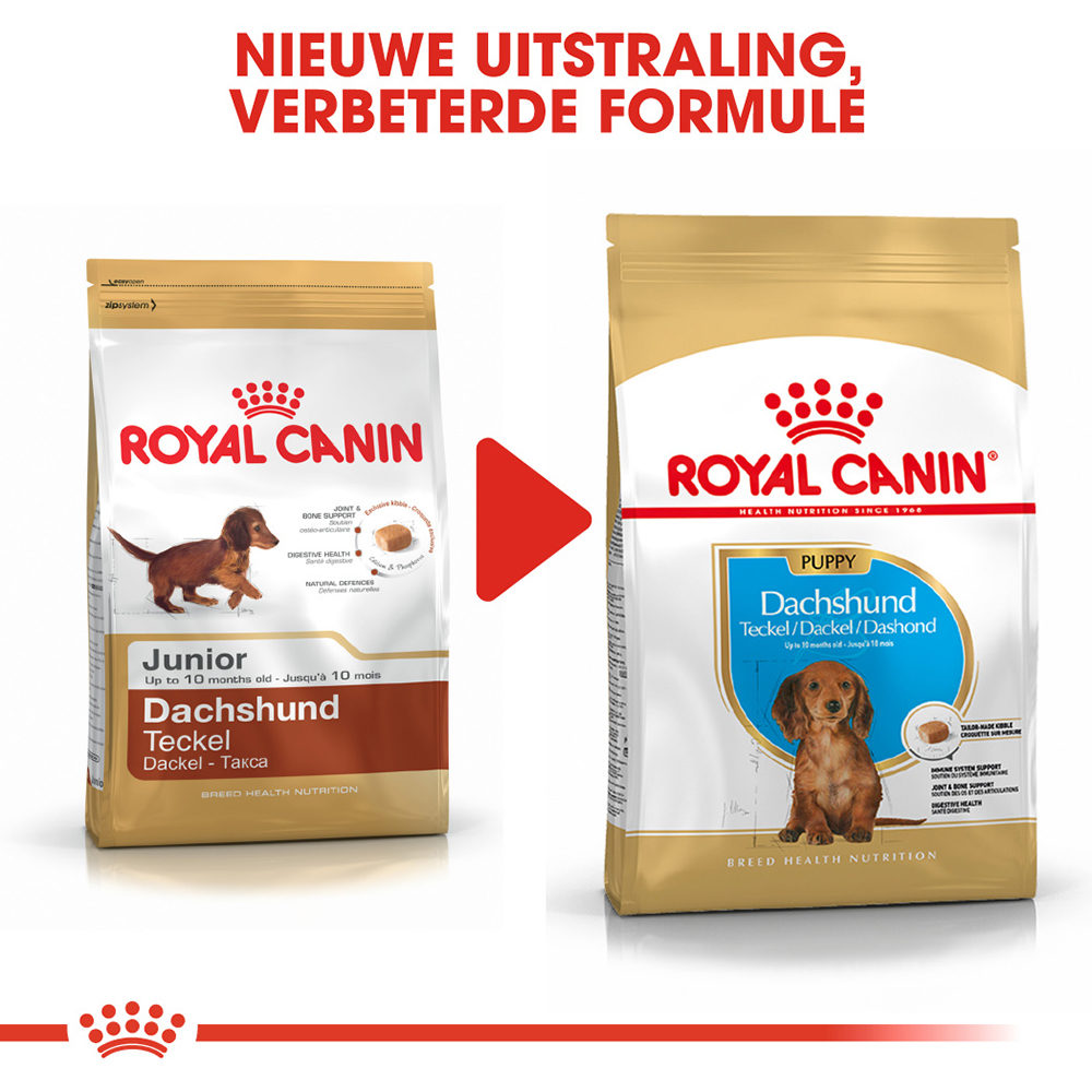 Royal Canin Dachshund Puppy - Hondenvoer