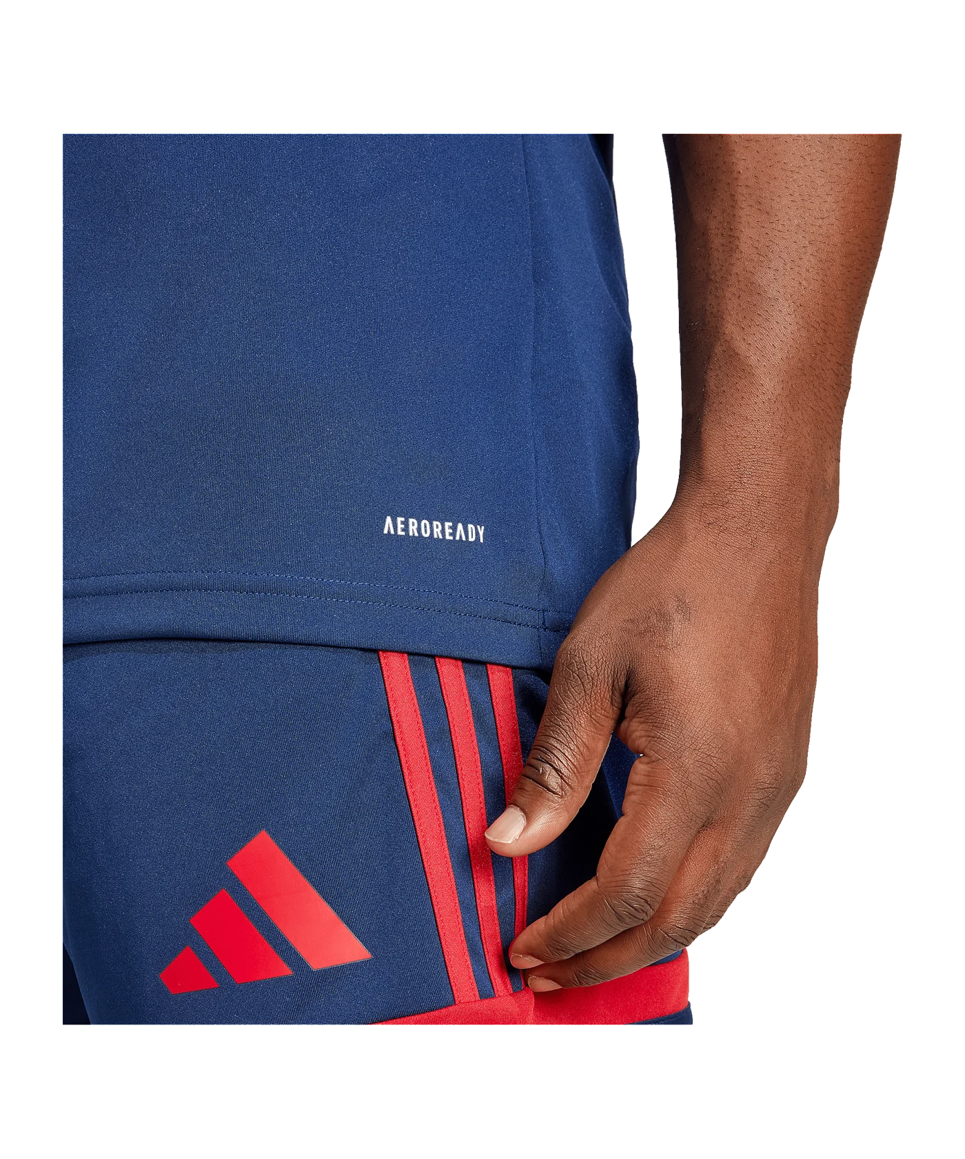 adidas Squadra 25 Trikot Blau Rot
