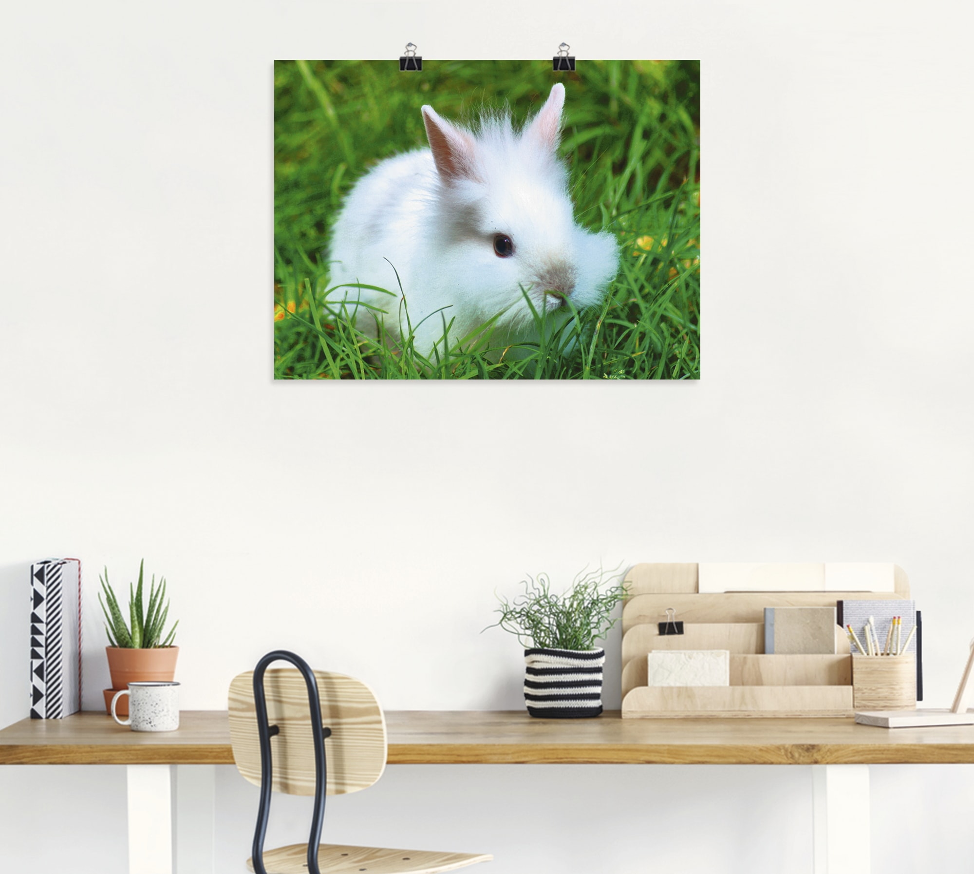Artland Poster »Weisses Zwergkaninchen Baby« Wildtiere 1 Stk. tlg. als Poster, Wandaufkleber in verschied. Grössen