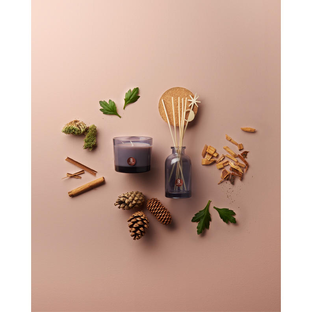 Bolsius True Joy Secret Forest Geurverspreider 80ML