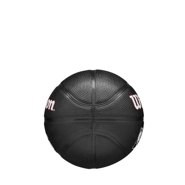 NBA Team Tribute Mini Basketball