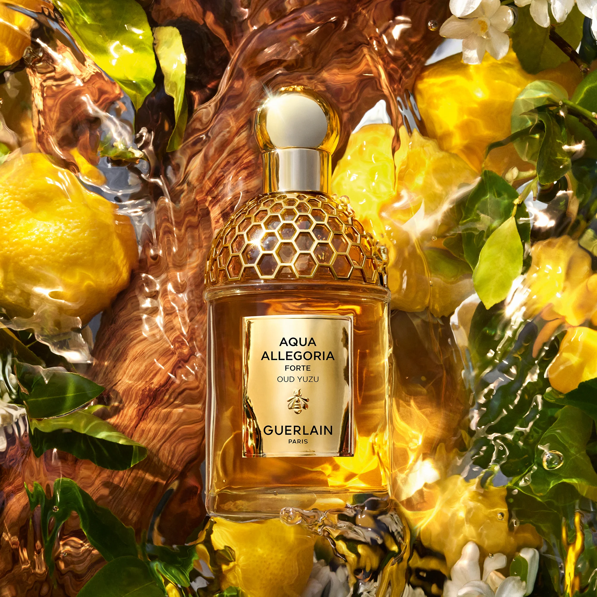 AQUA ALLEGORIA FORTE Oud Yuzu - Eau de Parfum |