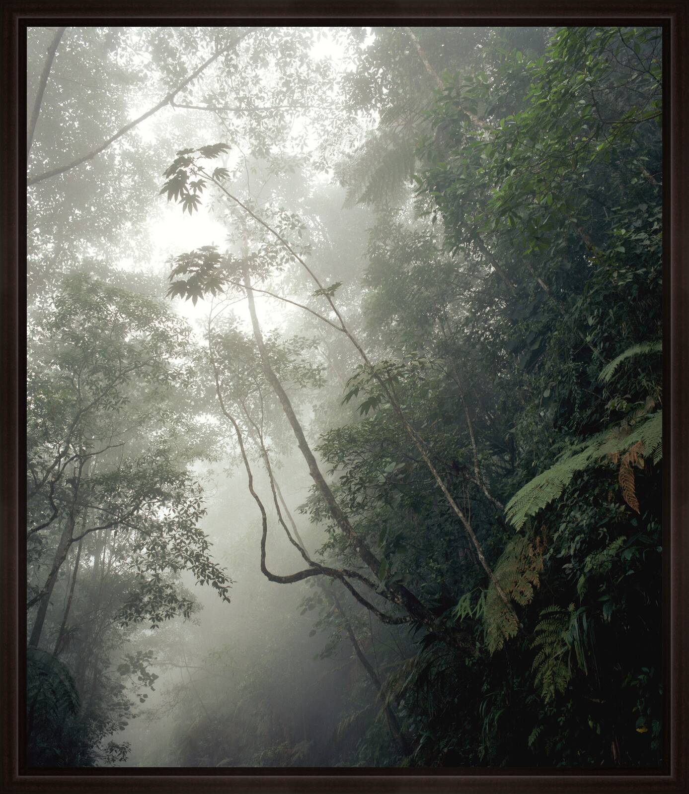 O.T. (Eldorado II) by Stephanie Kloss - Limited Edition. Edition of: 100. Signed.