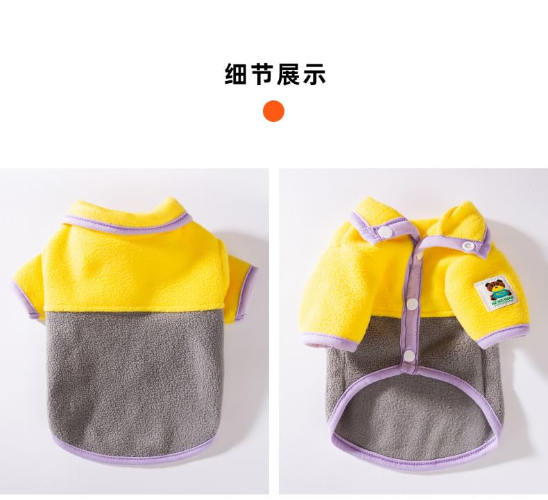 Cissilli - Color Block Pet Top