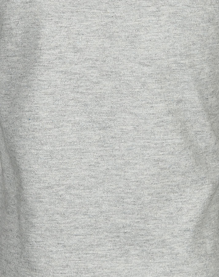 T-Shirt HAPPY HORSE mit Flügelärmeln in grau melange