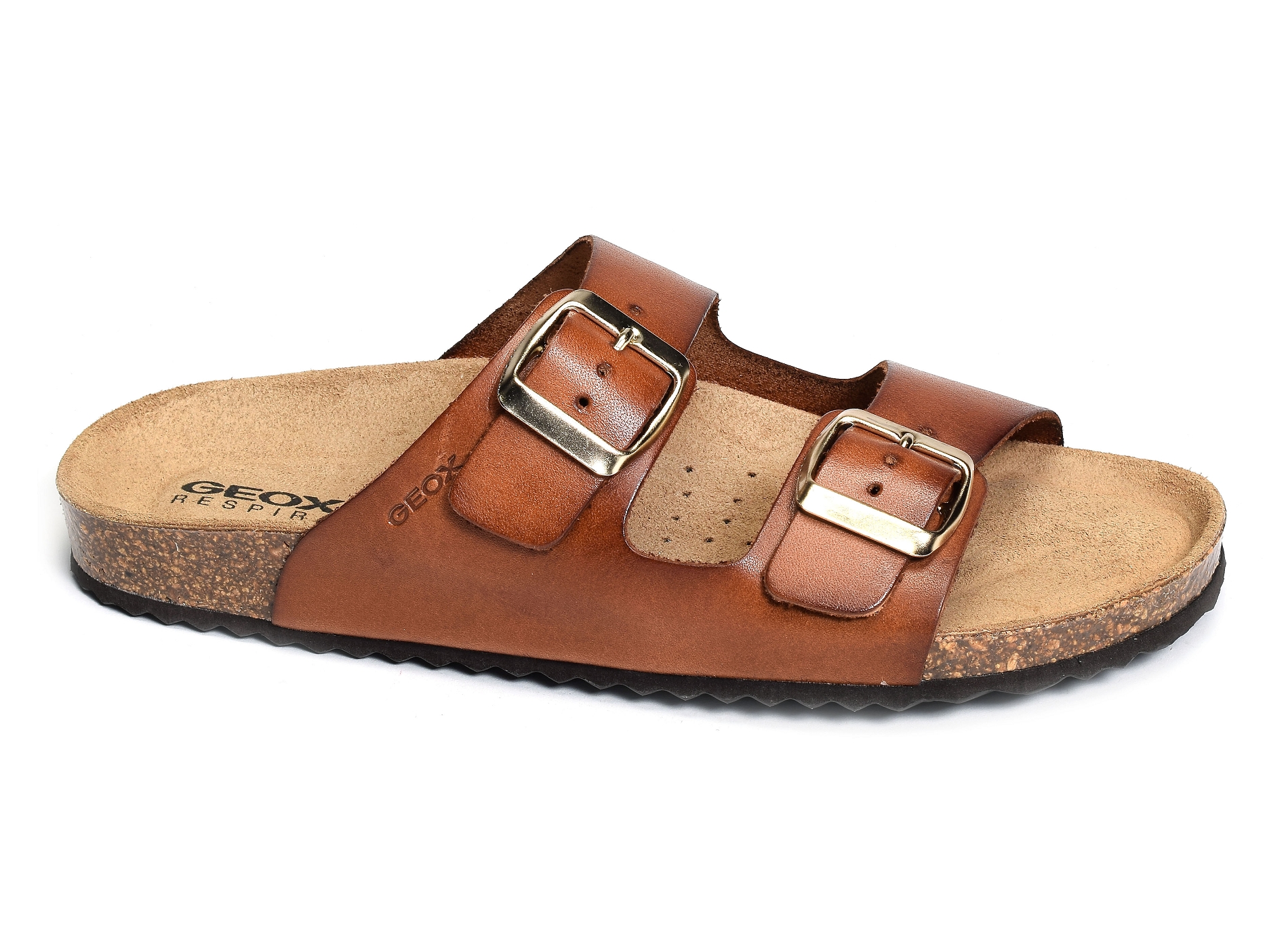 D brionia  a marron