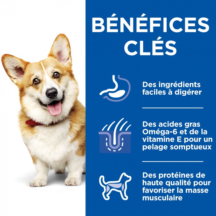 HILL'S Science Plan Healthy Cuisine Small & Mini Adult en Mijotés au Poulet & au Boeuf - Pâtée pour chien