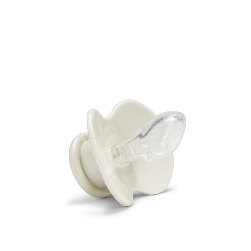 Sucette en silicone Autumn Rose 3M+