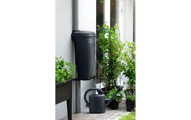 Elho Regentonne »Green Basics Rain Catcher 35 ltr«