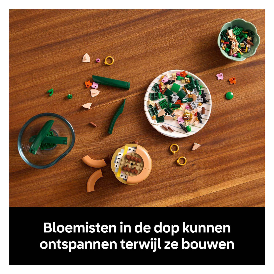 LEGO Botanicals 10343 Miniorchidee