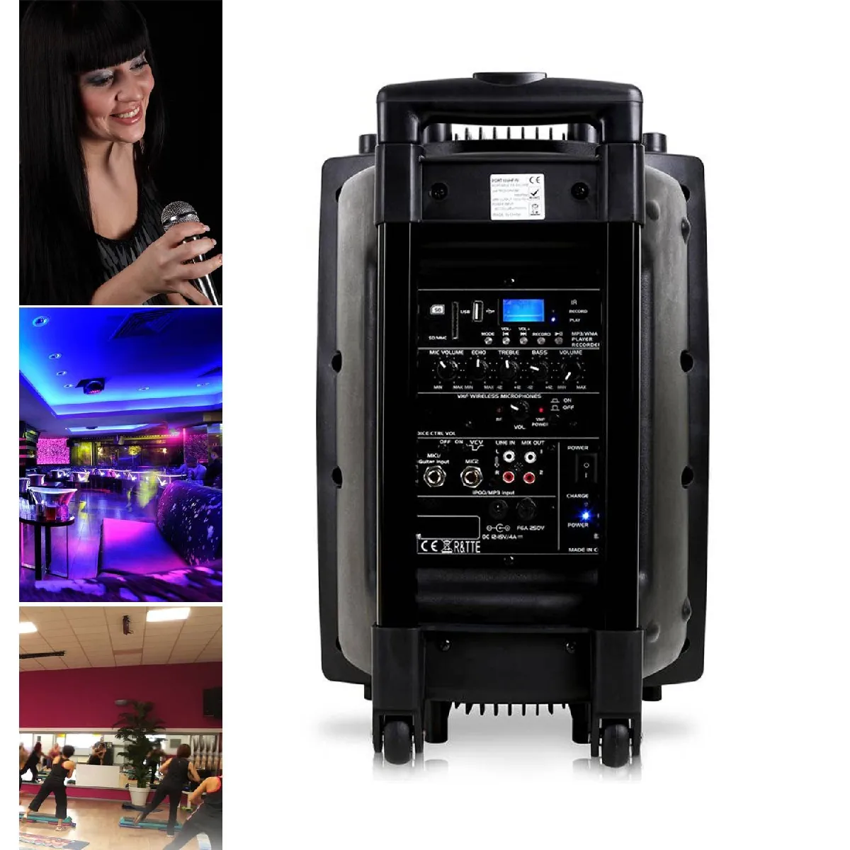 Ibiza Sound PORT12VHF-BT