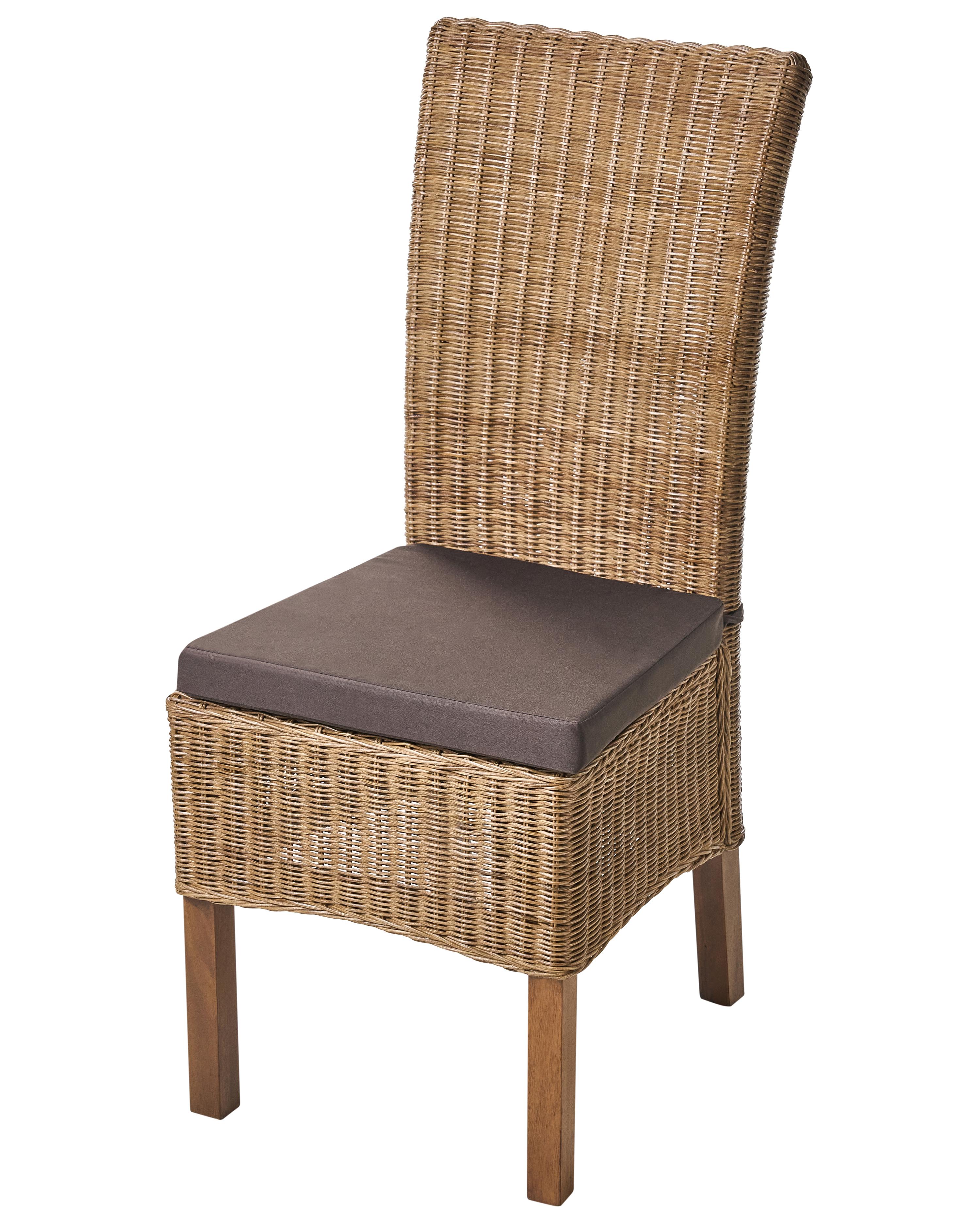 Set van 2 eetkamerstoelen ANDES Rotan Bruin