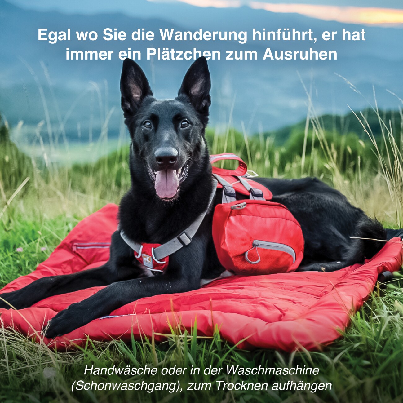 Kurgo Loft Wander Bett M