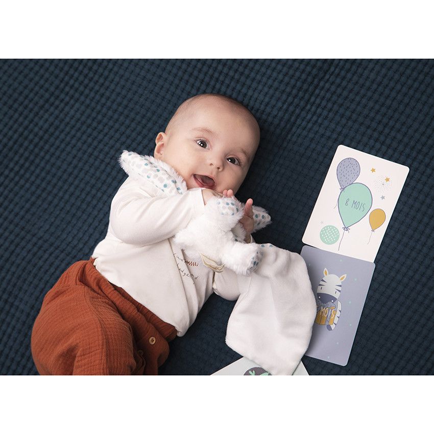 Cartes photo de naissance bébé garçon x28 - Bleu