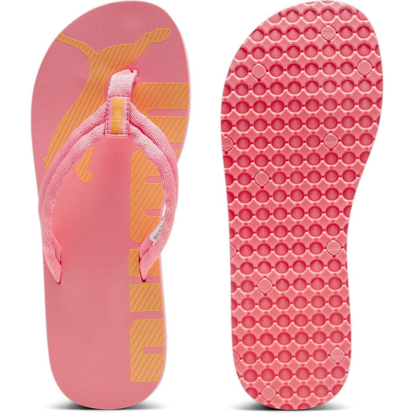 PumaEpic Flip v2