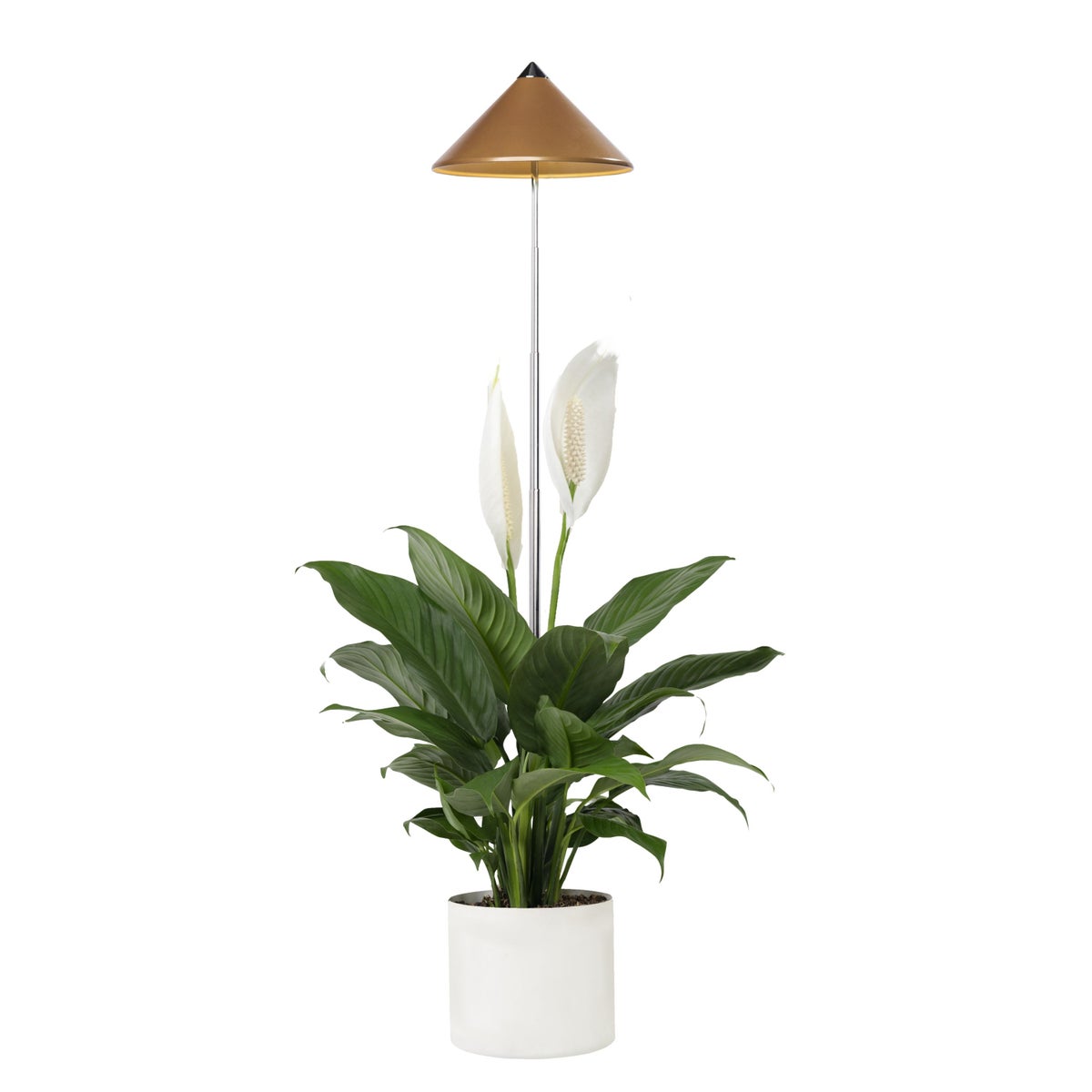 Parus by Venso SUNLITE 7W LED Full Spectrum Plantenlamp Koper, Binnenplantenverlichting, met Uitschuifbare Telescopische Paal, Parus Plantenlamp voor Kleine en Middelgrote Kamerplanten