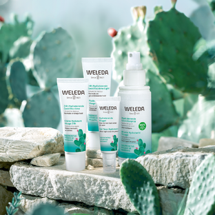 Weleda Vijgencactus Hydraterende Ooggel 10ML