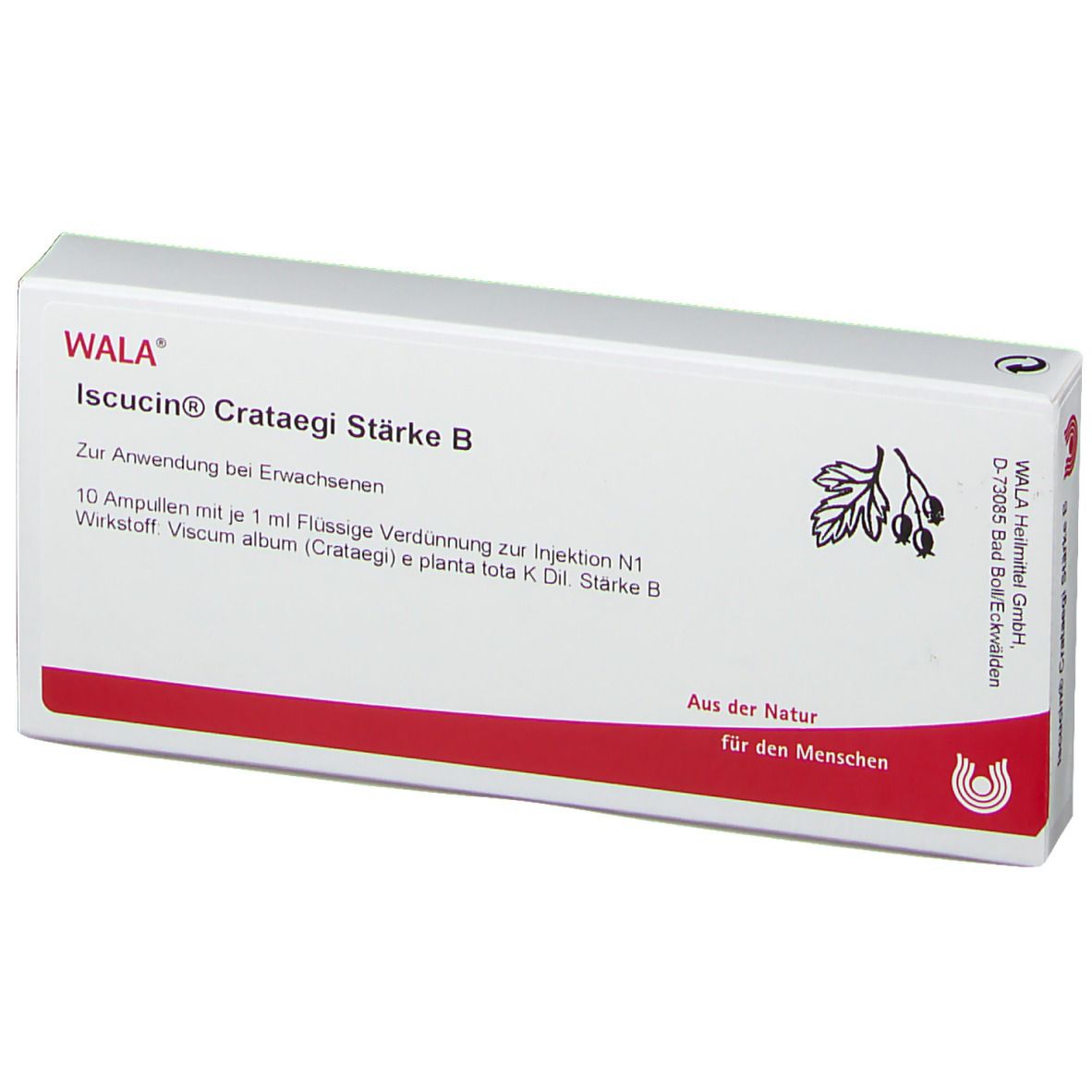 WALA® Iscucin Crataegi Stärke B Ampullen