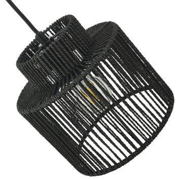 GAMMA hanglamp James zwart Ø20 cm