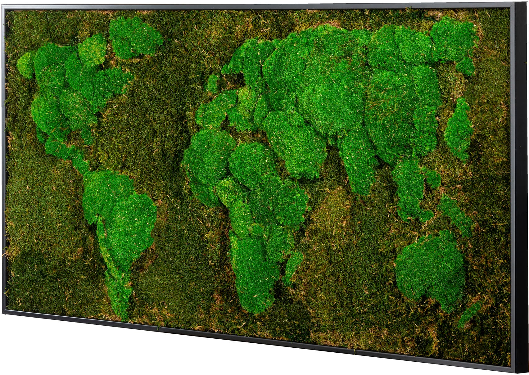 Bönninghoff Bild mit Rahmen »Moos« 1 Stk. tlg. jedes Bild ein Unikat, BxH: 120x60 cm