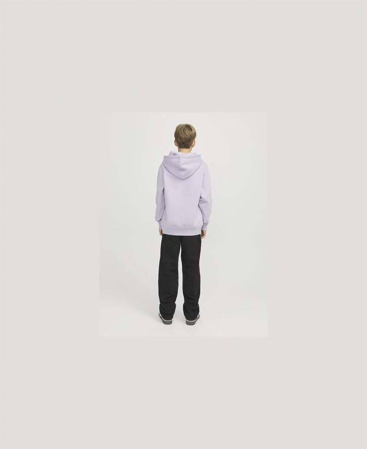 Jack & Jones JORVESTERBRO SWEAT HOOD NOOS JNR Cosmic sky
