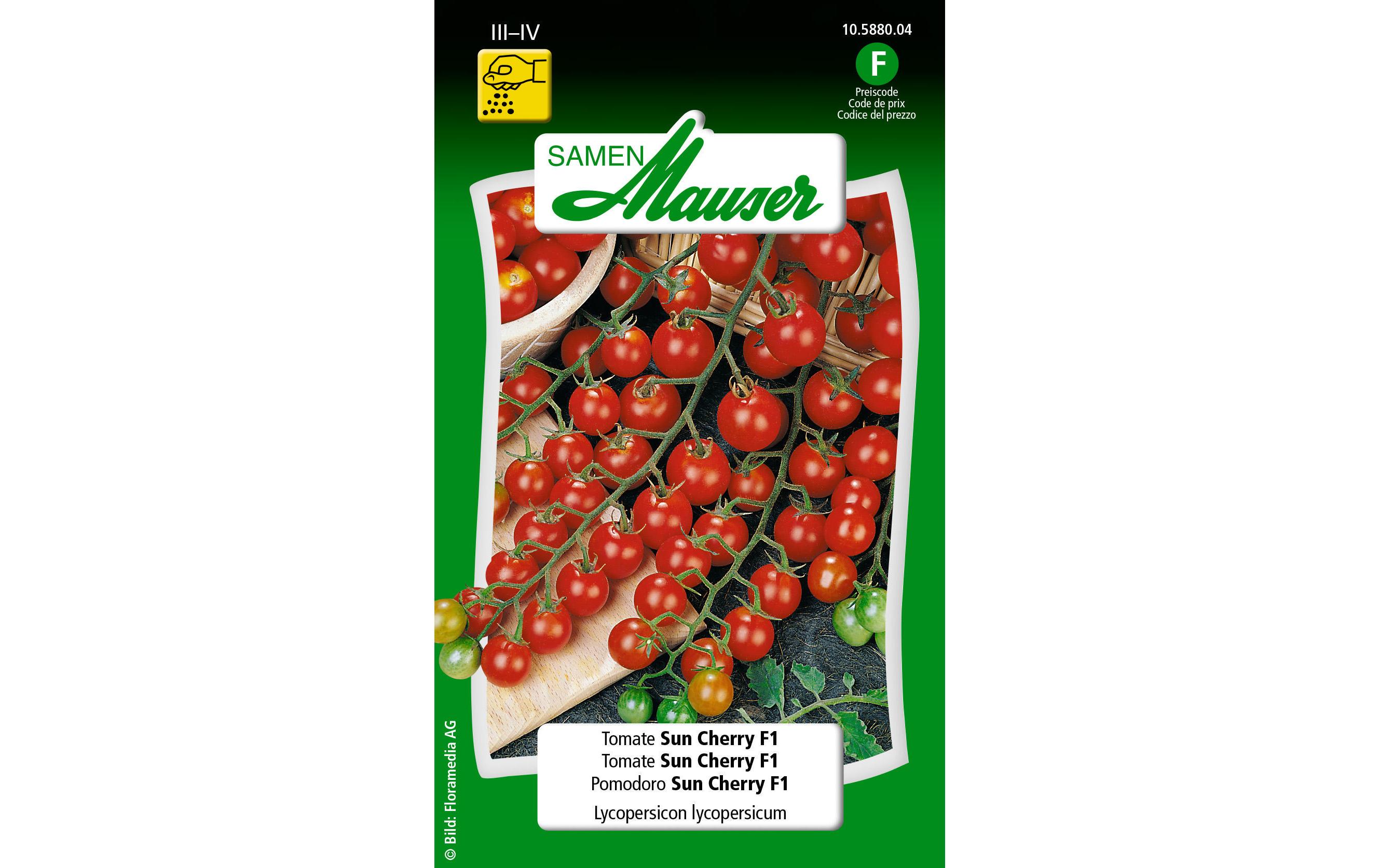 Samen Tomate Sun Cherry F1Gemüsesamen