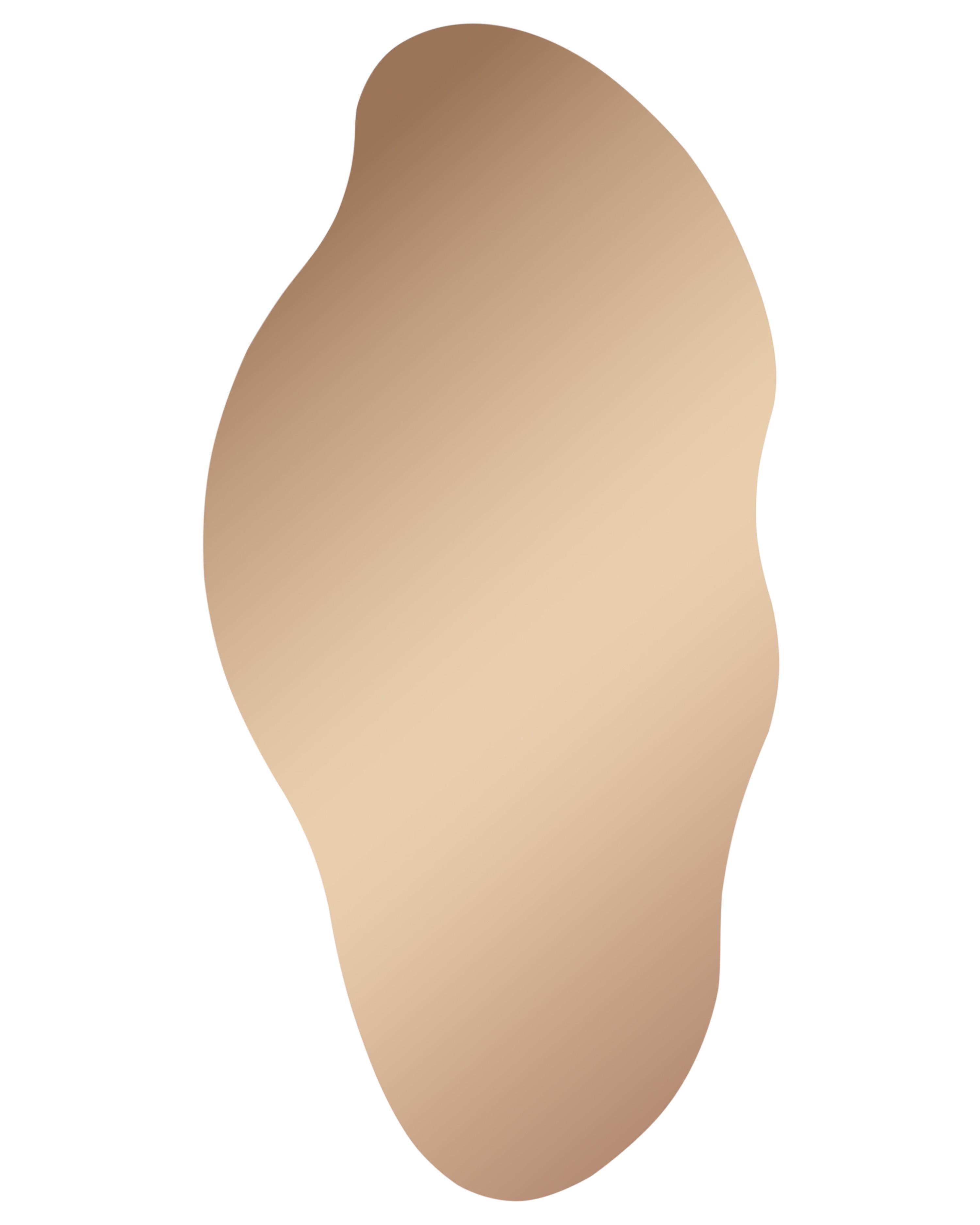 Wandspiegel ASSIGNY 50 cm 92 cm Bruin