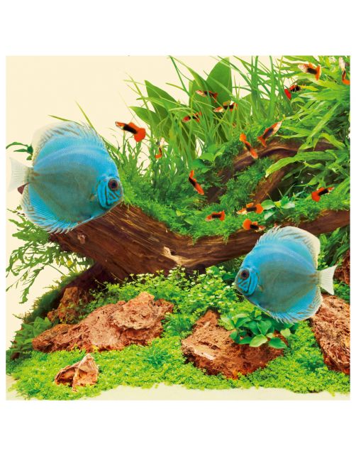 Juwel High-Lite Nature - Verlichting