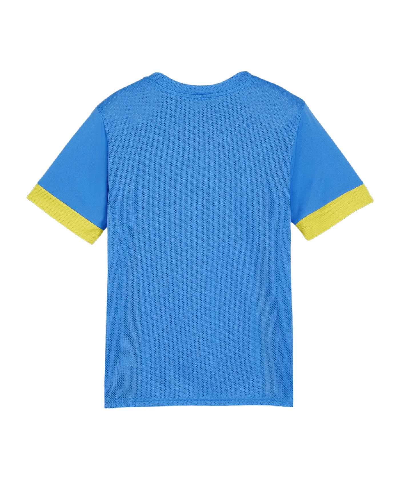 PUMA teamGOAL Matchday Trikot Kids Blau Gelb F16