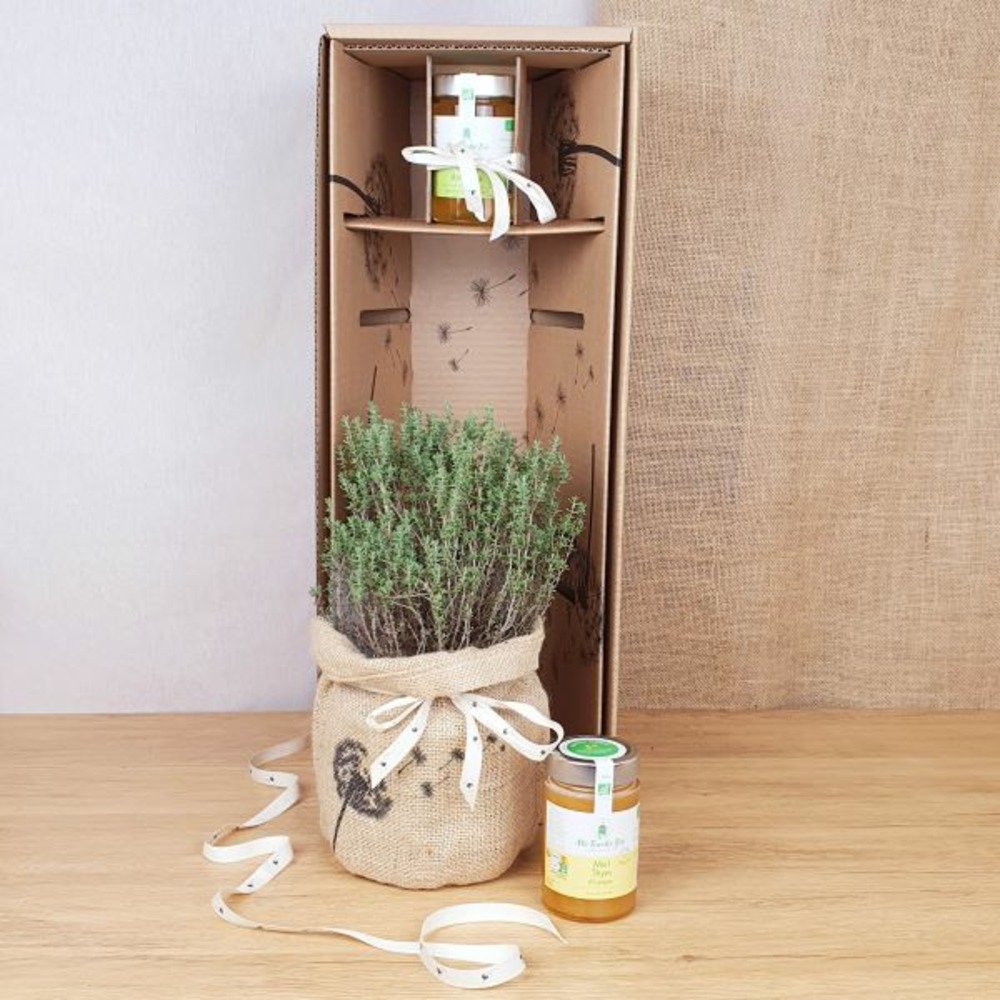 Coffret d'une plante du thym, symbole d'amour durable, et son miel de thym bio