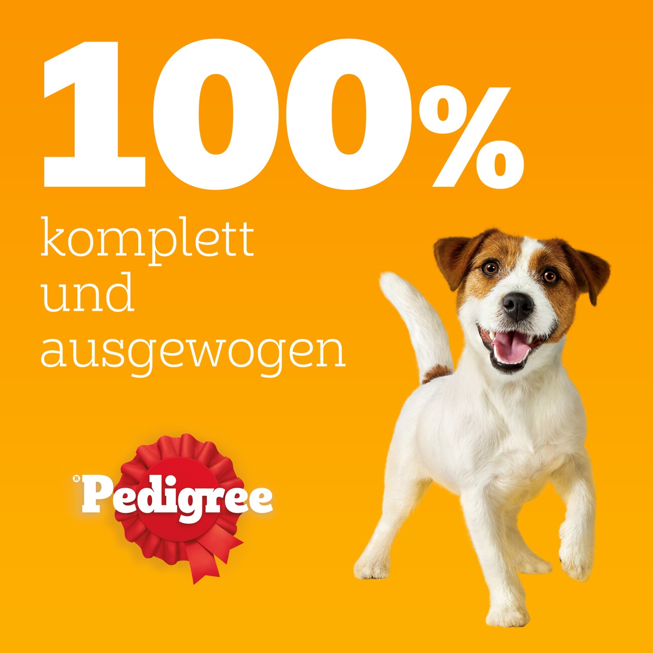 Pedigree Nassfutter Hund Adult, Multipack, Gemischte-Selektion mit Gemüse, in Gelee 12x100 g