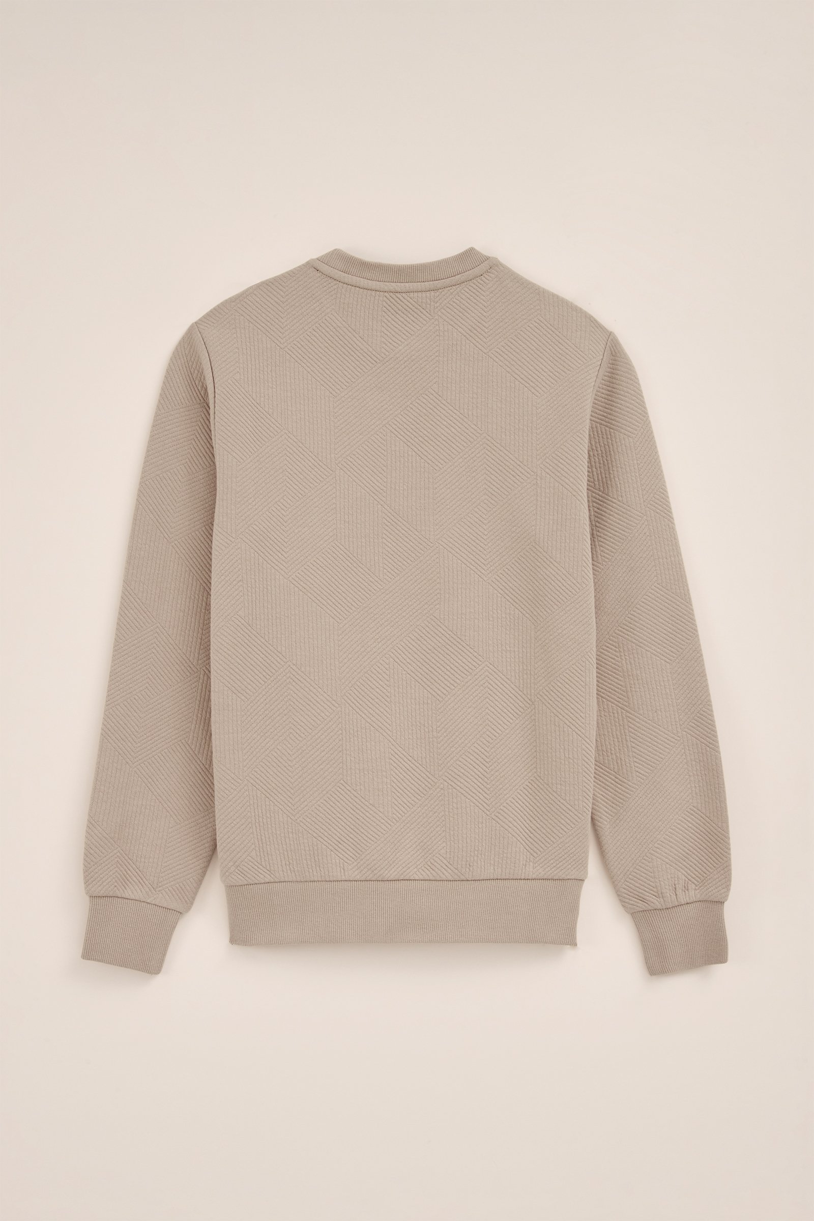 Jongens sweater met structuur Blue Ridge Beige