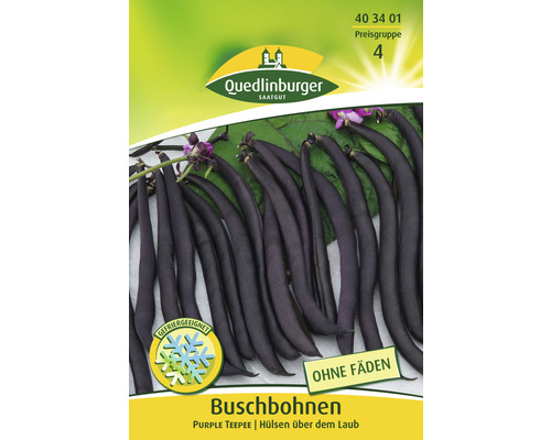 Struikbonen Paarse Tipi Quedlinburger Zaden met open pollinatie Groentezaden