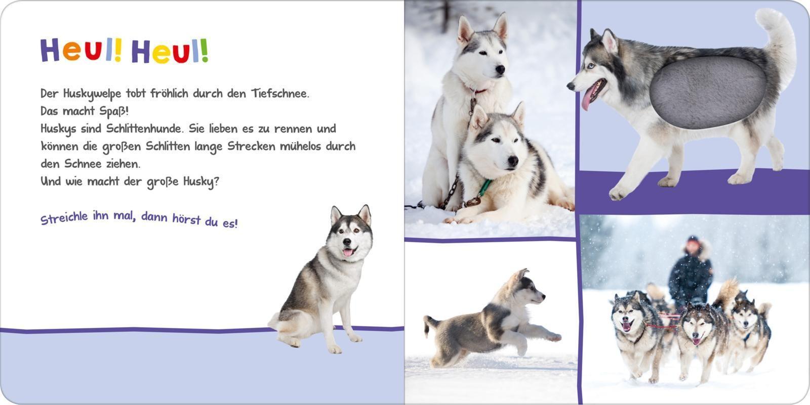 Hör mal rein, wer kann das sein? - Im Winter
