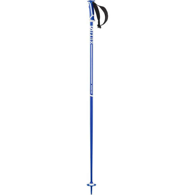 X 08  Alpinstöcke Unisex