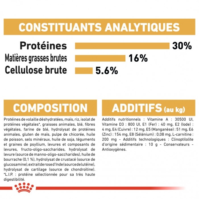 Royal Canin Norvégien Adult