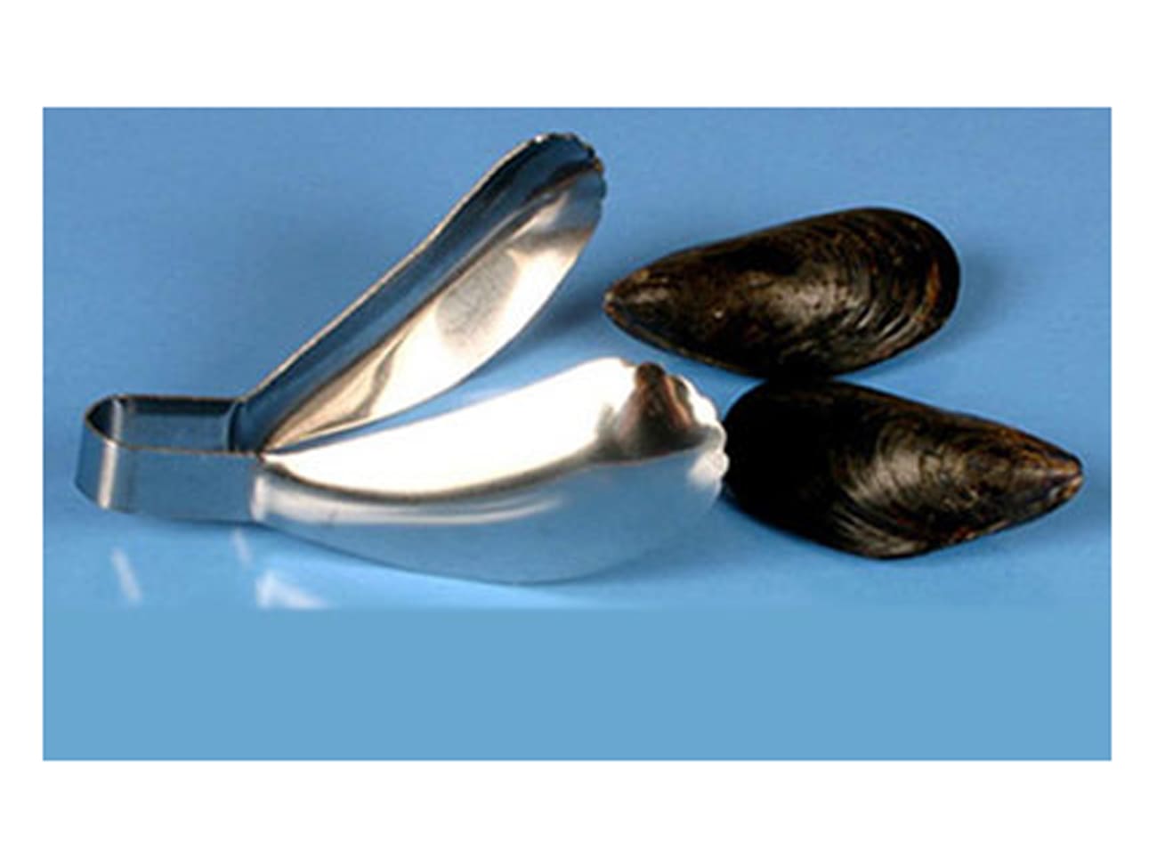 Pince à moule en inox - Chevalier Diffusion