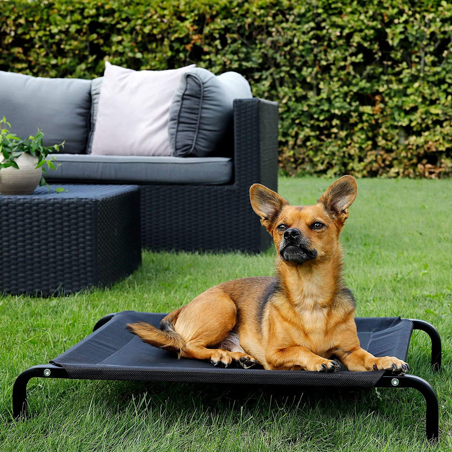 (90x60x17cm) Erhöhtes Hundebett Outdoor Camping Hundeliege Kühlendes Haustierbett - Schwarz