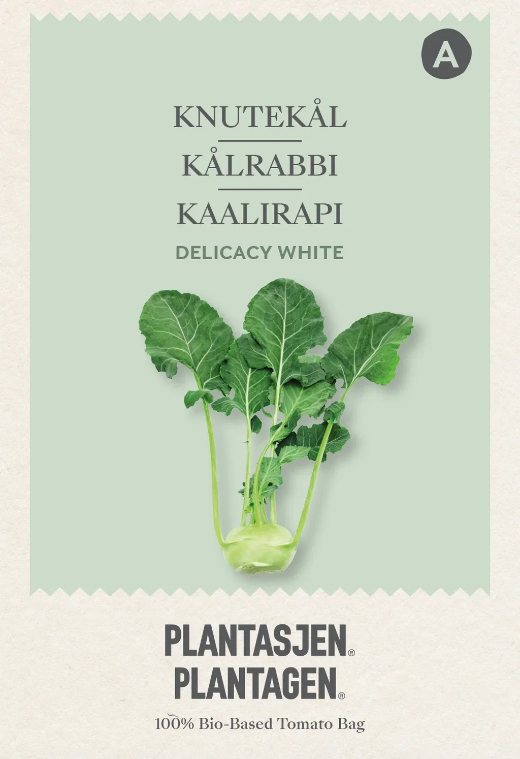 Brassica oleracea Knutekål 'Delicacy White'