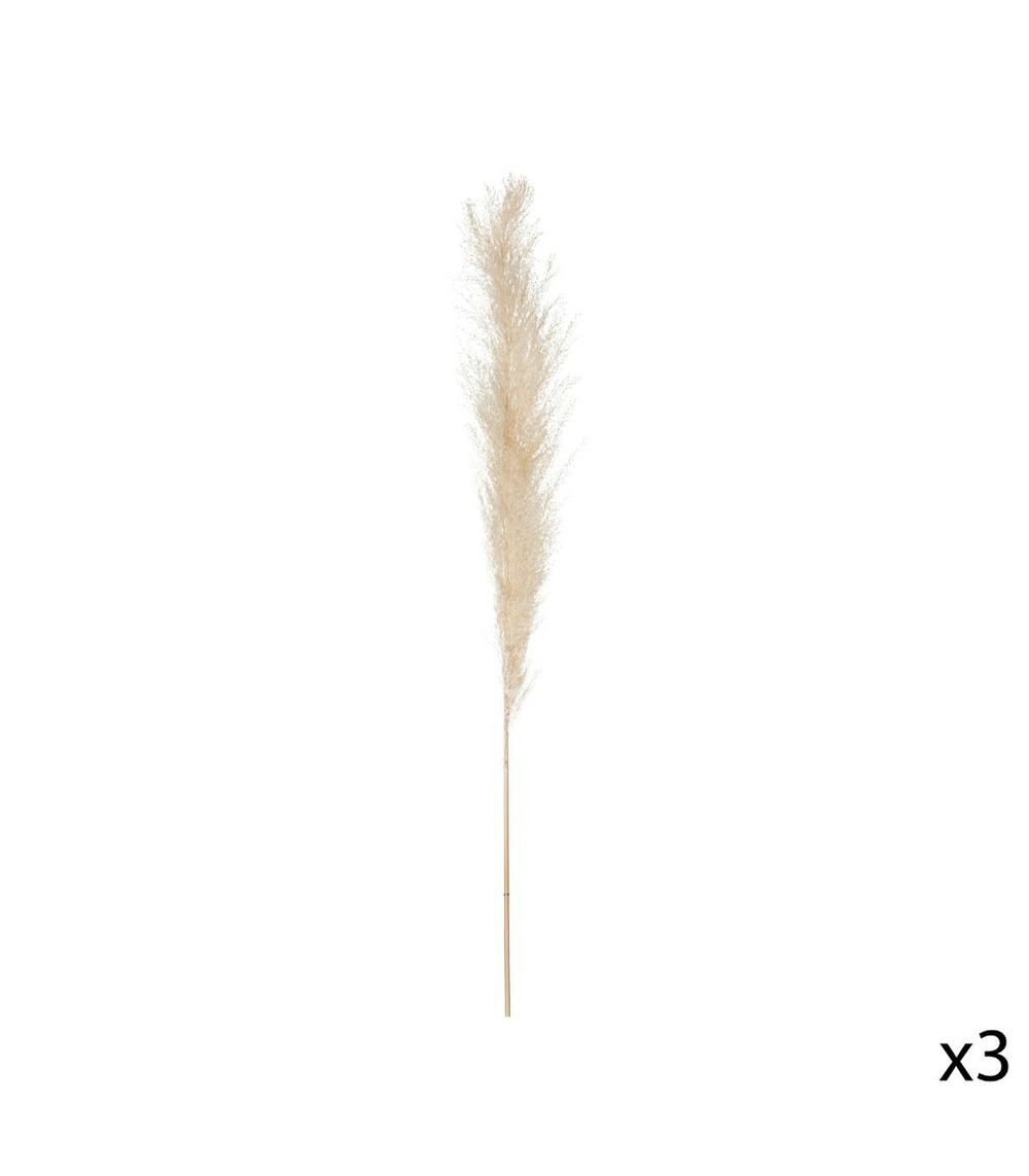 Set de 3 branches de pampa séchée blanc ivoire h 109 cm