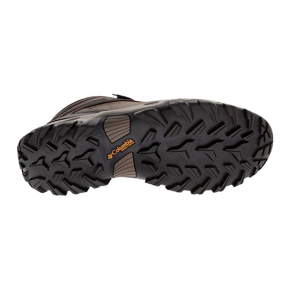 Columbia NEWTON RIDGE PLUS II WATERPROOF - Chaussures randonné Homme brown