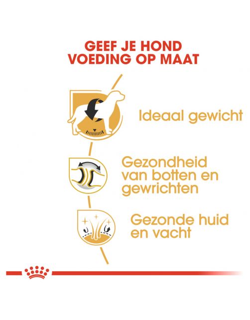 Royal Canin Labrador Retriever Adult - Hondenvoer