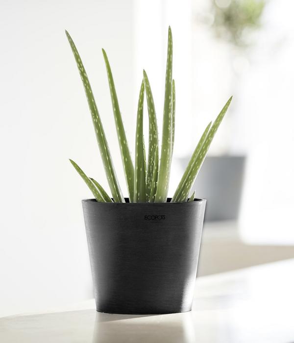 Ecopots Kunststoff-Topf Amsterdam Mini, rund,
