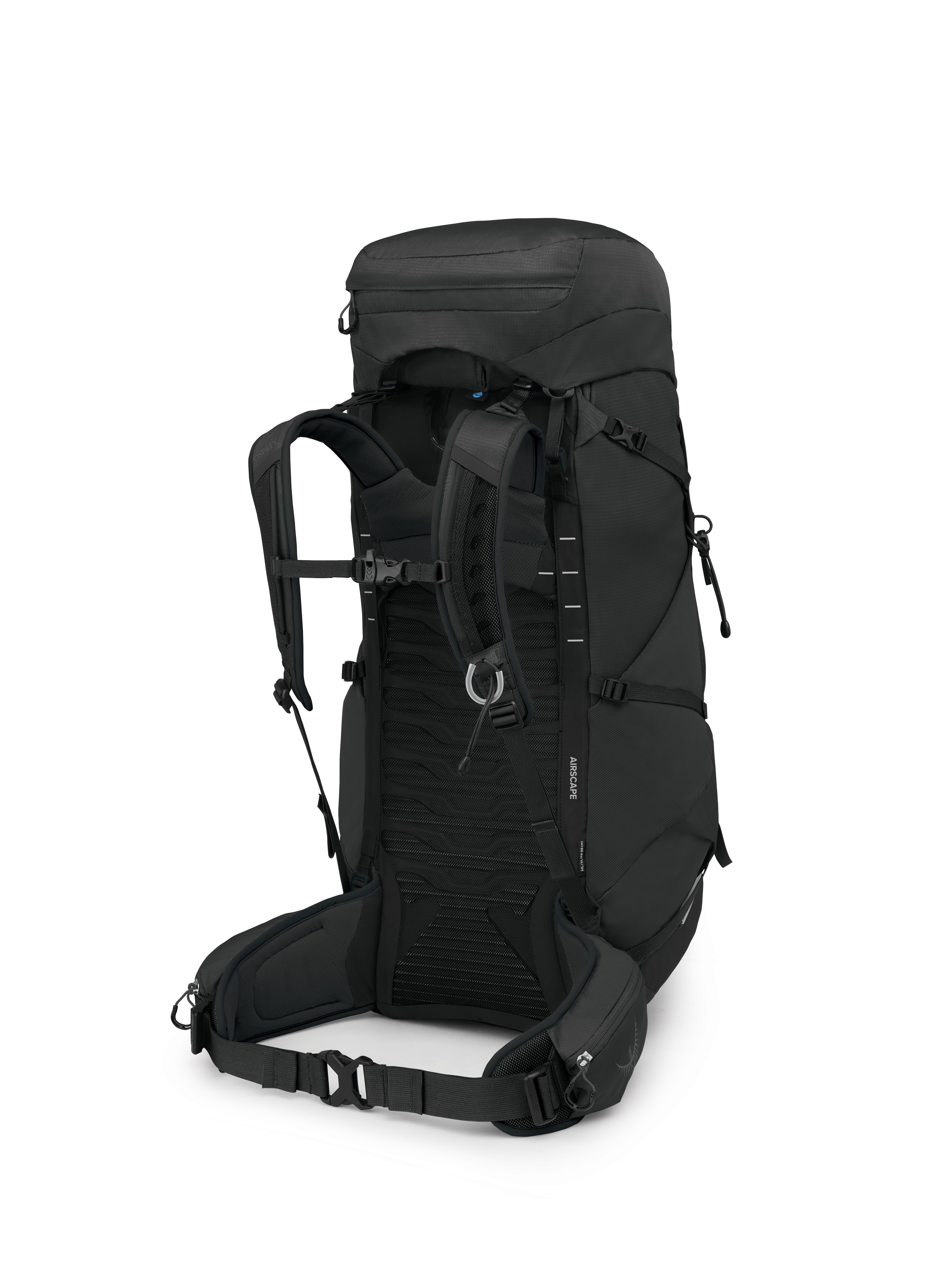 Talon 44